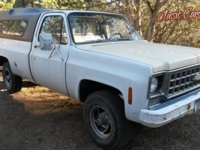 1976 Chevrolet Pickup for sale