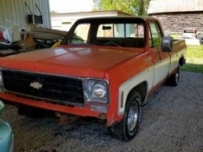 1976 Chevrolet Pickup for sale