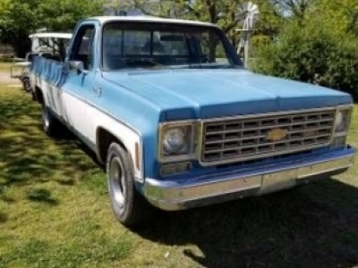 1976 Chevrolet Pickup for sale