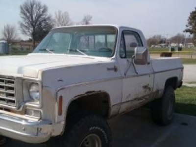 1976 Chevrolet Scottsdale for sale