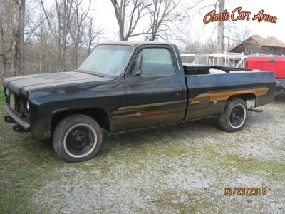 1976 Chevrolet Silverado for sale in Kentucky