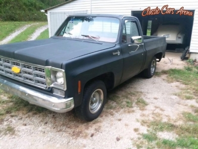 1976 Chevrolet Silverado for sale