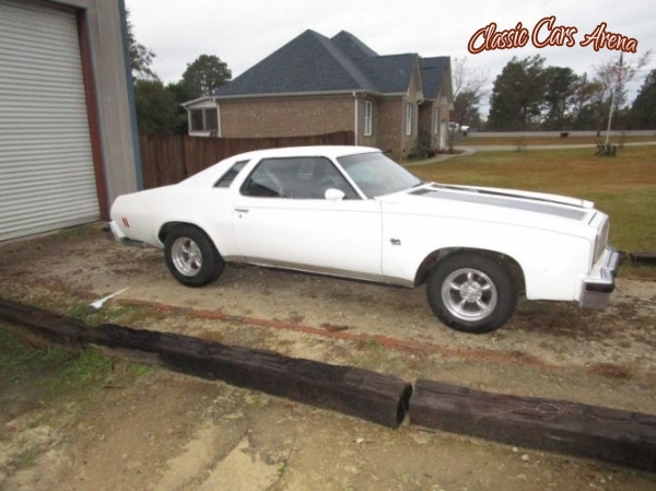 1976 Chevrolet Malibu for sale in Michigan (ID-45403)