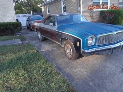 1976 Chevrolet El Camino for sale