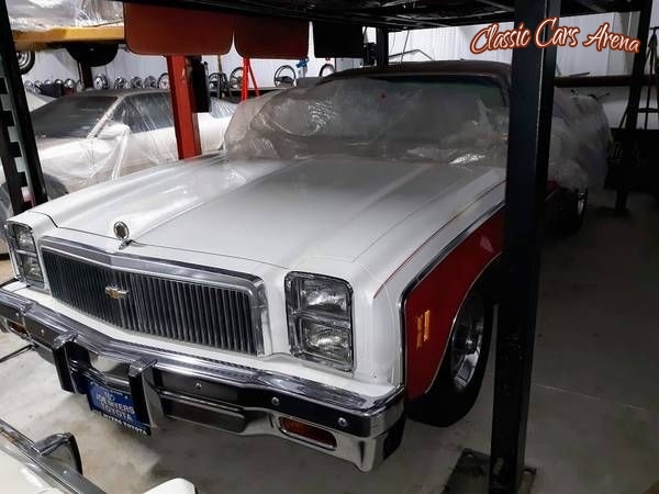 1976 Chevrolet El Camino for sale in Michigan (ID-56273)