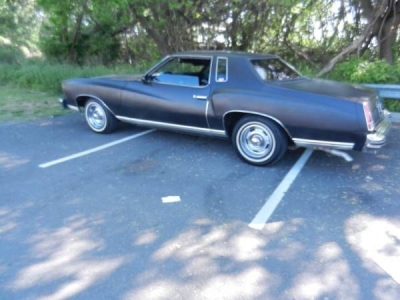 1976 Chevrolet Monte Carlo for sale