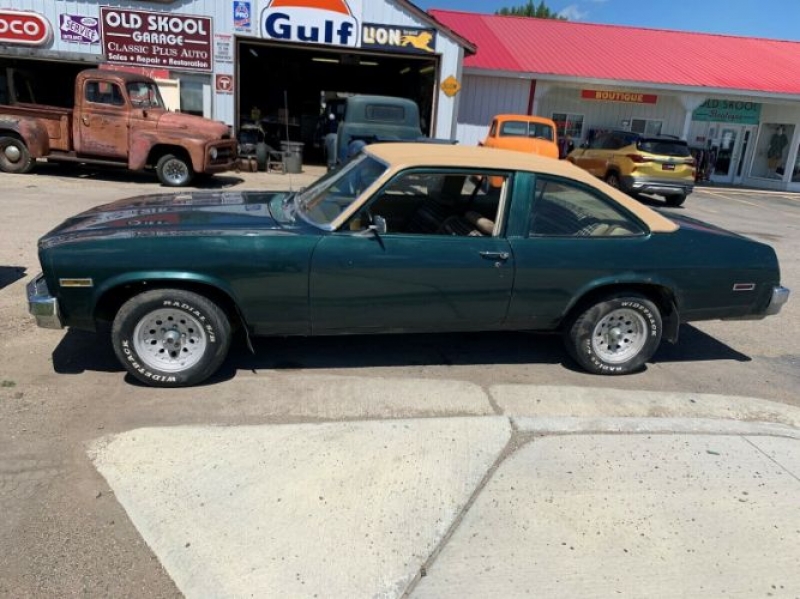 1976 Chevrolet Nova for sale in Minnesota (ID-80835)