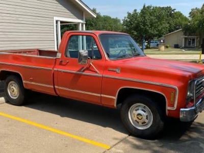 1976 Chevrolet C20 for sale