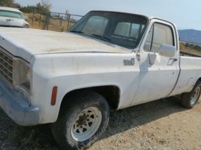 1976 Chevrolet C20 for sale