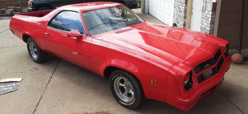 1976 Chevrolet El Camino for sale in Michigan (ID-89205)