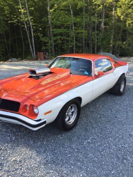 1976 Chevrolet Camaro for sale in Michigan (ID-91633)