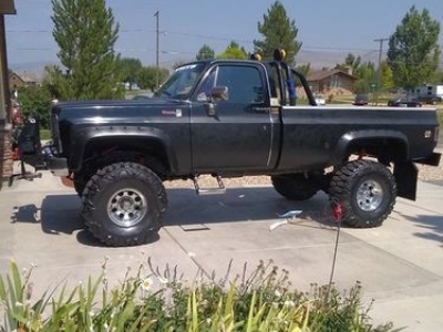 1976 Chevrolet Pickup for sale