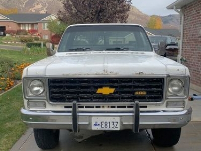 1976 Chevrolet Pickup for sale