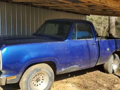1976 Dodge D100 for sale