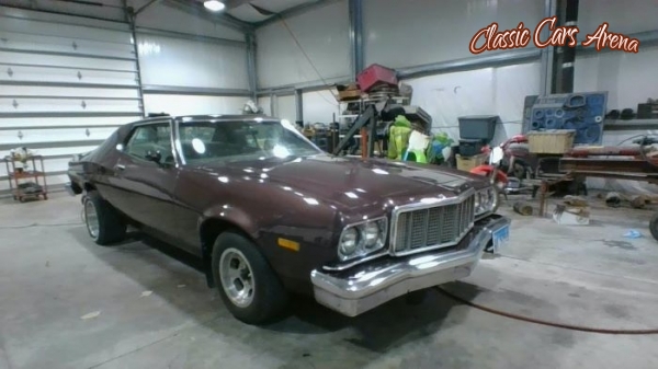1976 Ford Torino for sale in Michigan (ID-43482)