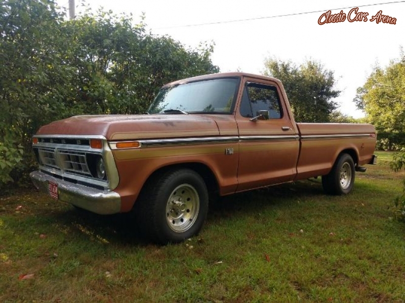 1976 Ford F100 for sale in Michigan (ID-67744)