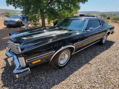 1976 Ford Elite for sale