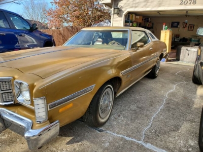 1976 Ford Elite for sale