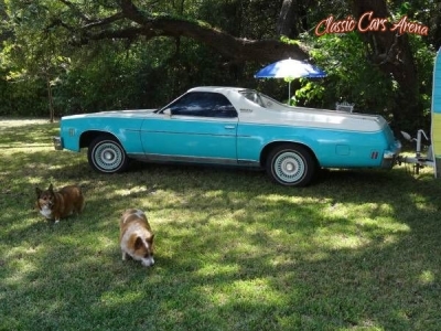 1976 GMC Sprint for sale