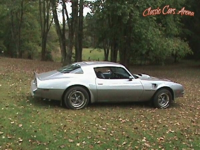 1976 Pontiac Firebird for sale