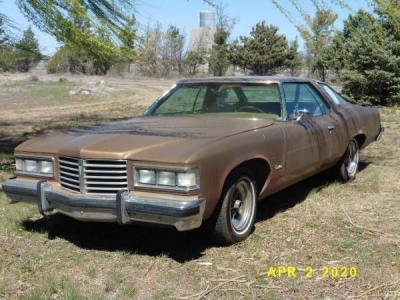 1976 Pontiac Catalina for sale