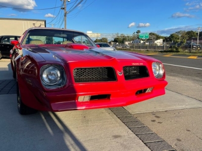 1976 Pontiac Trans Am for sale