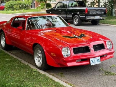 1976 Pontiac Trans Am for sale