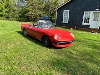 1976 Alfa Romeo Spider for sale