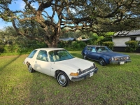 1976 AMC Pacer for sale in Michigan (ID-163449)