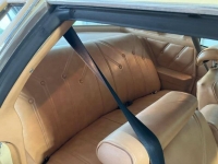 1976 Buick Century for sale in Michigan (ID-119367)