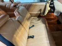 1976 Buick Century for sale in Michigan (ID-119367)