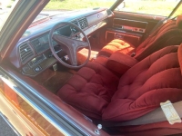 1976 Buick Electra 225 for sale in Michigan (ID-162096)