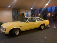 1976 Buick Skylark for sale in Michigan (ID-123896)