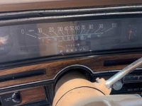 1976 Buick Skylark for sale in Michigan (ID-123896)