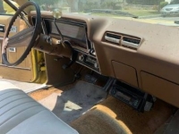 1976 Buick Skylark for sale in Michigan (ID-123896)