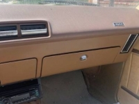 1976 Buick Skylark for sale in Michigan (ID-123896)