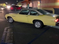 1976 Buick Skylark for sale in Michigan (ID-123896)