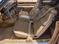 1976 Cadillac Coupe DeVille for sale (ID-118491)