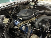 1976 Cadillac Coupe DeVille for sale in Michigan (ID-136280)