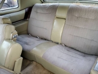 1976 Cadillac Coupe DeVille for sale in Michigan (ID-161724)