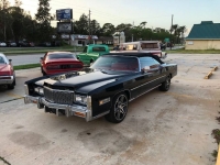 1976 Cadillac Eldorado for sale in Michigan (ID-115982)