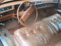 1976 Cadillac Eldorado for sale in Michigan (ID-117159)