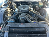 1976 Cadillac Eldorado for sale in Addison, Illinois (ID-121621)