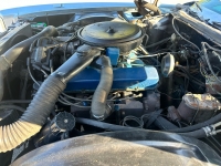 1976 Cadillac Eldorado for sale in Addison, Illinois (ID-121621)
