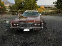 1976 Cadillac Eldorado for sale in Michigan (ID-125955)
