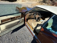 1976 Cadillac Eldorado for sale in Michigan (ID-125955)