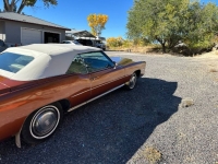 1976 Cadillac Eldorado for sale in Michigan (ID-125955)