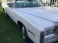 1976 Cadillac Eldorado for sale in Michigan (ID-140818)