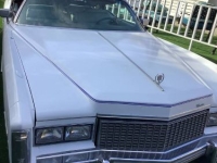 1976 Cadillac Eldorado for sale in Michigan (ID-140818)