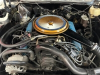 1976 Cadillac Eldorado for sale in Michigan (ID-154781)